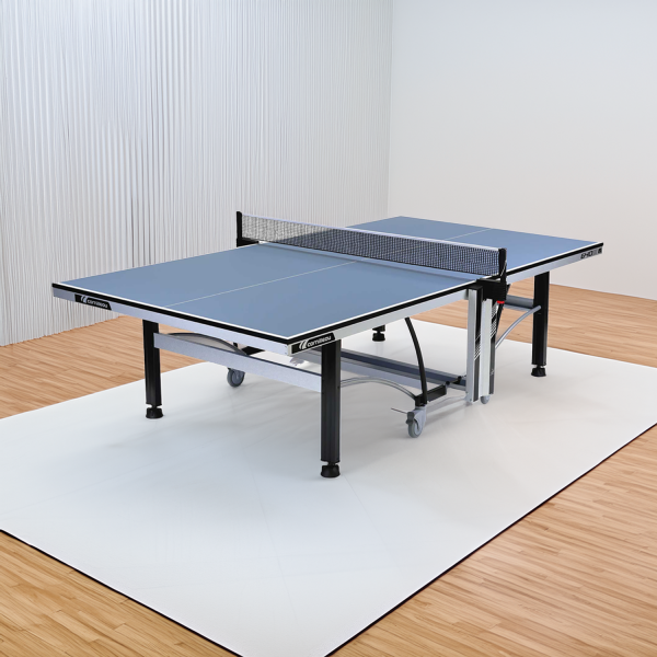 TABLE DE PING-PONG